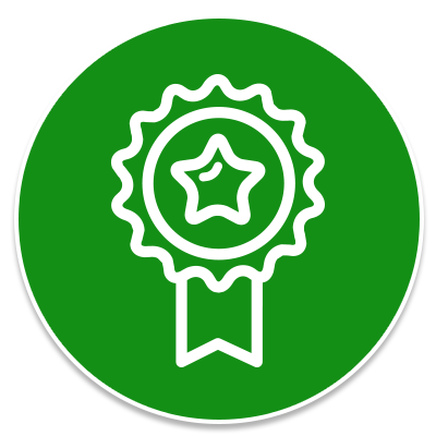 Medal Icon Medal Icon